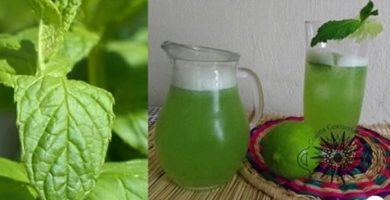 Hierbabuena con limón